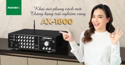 Amply Paramax AX-1800 700W - Giá rẻ nhất hôm nay - Ảnh 9