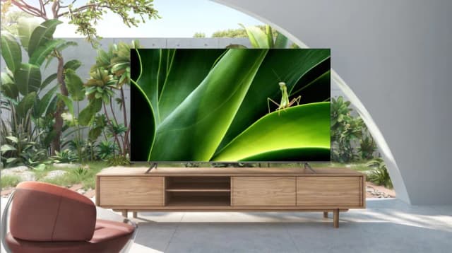 So sánh giá Google Tivi TCL 4K 65 inch 65P737 rẻ nhất? - Ảnh 6