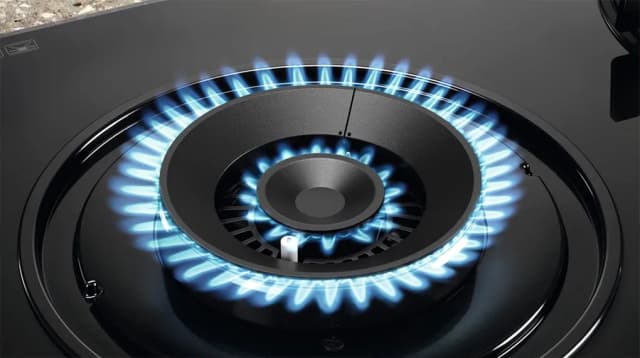 So sánh giá Bếp ga âm Electrolux EHG7303BF rẻ nhất? - Ảnh 17