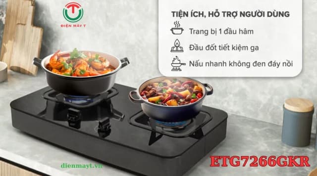So sánh giá Bếp ga đôi Electrolux ETG7266GKR rẻ nhất? - Ảnh 12