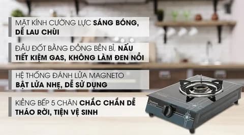 So sánh giá Bếp ga đơn Duxton DG-250 rẻ nhất? - Ảnh 15