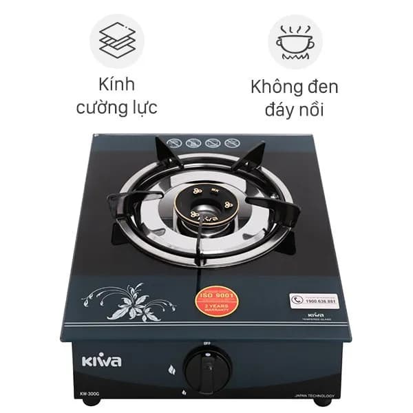 So sánh giá Bếp ga đơn Duxton DG-250 - Tìm sản phẩm giá rẻ nhất - Ảnh 17