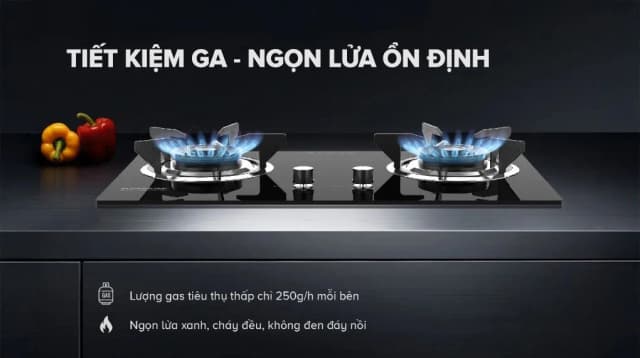 So sánh giá Bếp ga âm Sunhouse SHB62020-MD rẻ nhất? - Ảnh 19