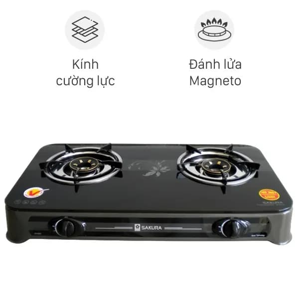So sánh giá Bếp ga đôi Duxton DG-595 rẻ nhất? - Ảnh 14