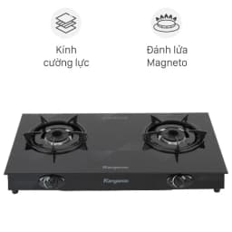So sánh giá Bếp ga đôi Duxton DG-595 - Tìm sản phẩm giá rẻ nhất - Ảnh 19