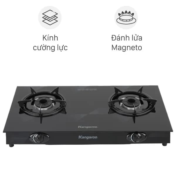 So sánh giá Bếp ga đôi Duxton DG-595 - Tìm sản phẩm giá rẻ nhất - Ảnh 19
