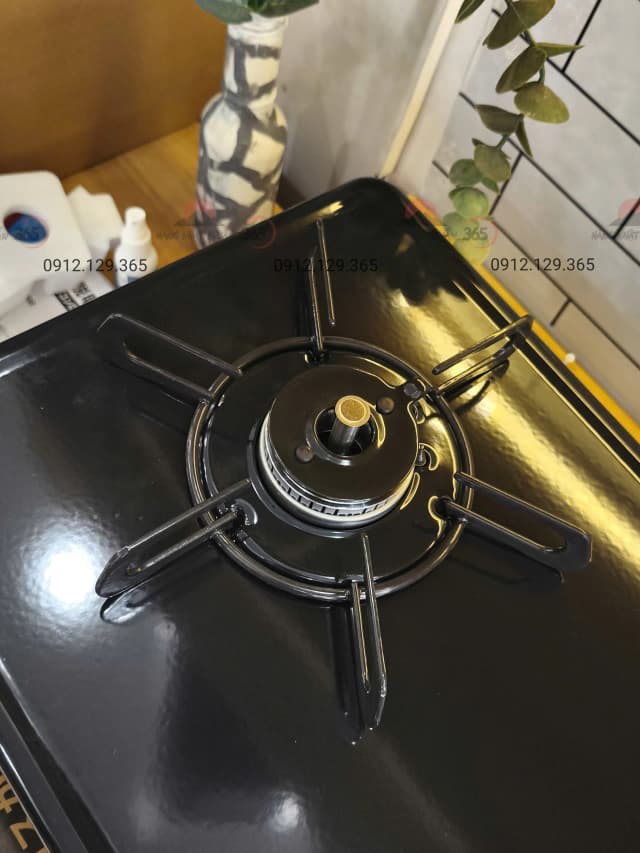 So sánh giá Bếp gas đôi Paloma PA-29B(VN) rẻ nhất? - Ảnh 18