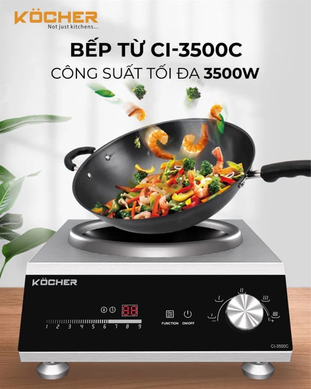 Top 1 so sánh giá Bếp từ công nghiệp Kocher CI-5000W 5000W - Tìm sản phẩm giá rẻ nhất - Ảnh 18