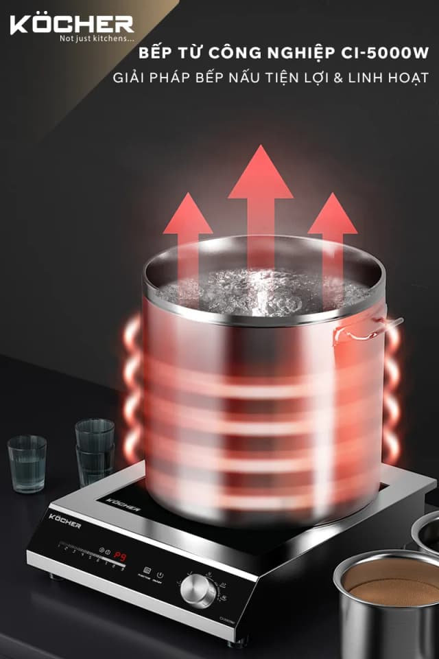 Top 1 so sánh giá Bếp từ công nghiệp Kocher CI-5000W 5000W - Tìm sản phẩm giá rẻ nhất - Ảnh 5