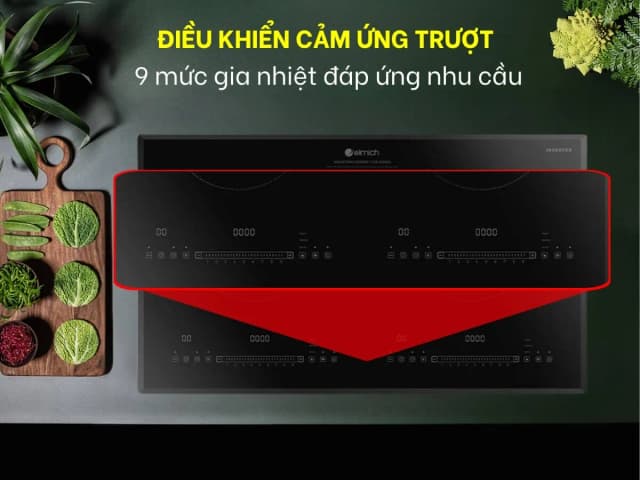 So sánh giá Bếp từ đôi âm Elmich ICE-3495OL 4400W rẻ nhất? - Ảnh 20