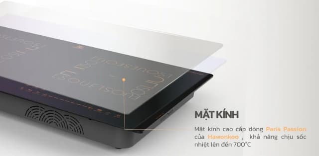 So sánh giá Bếp từ đôi âm Hawonkoo CEH-288 5200W rẻ nhất? - Ảnh 8