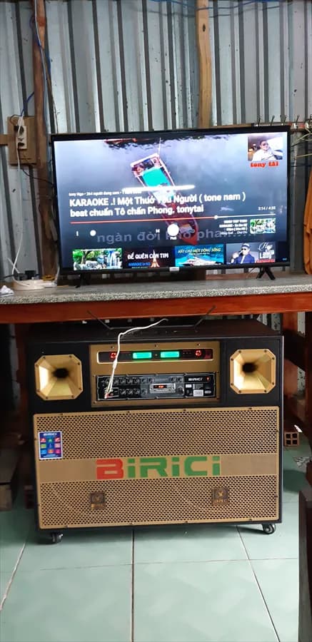 So sánh giá Loa điện karaoke Birici MX-700 450W rẻ nhất? - Ảnh 16