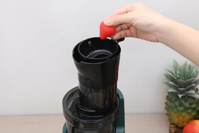 Top 1 so sánh giá Máy ép chậm AVA SJ-009 - Tìm sản phẩm giá rẻ nhất - Ảnh 16