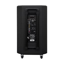 Loa kéo karaoke Dalton TS-12G450X 500W - Giá rẻ nhất hôm nay - Ảnh 19