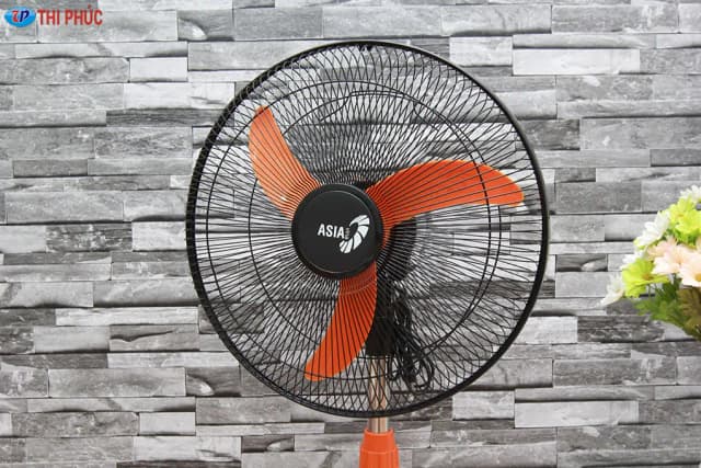 Top 1 so sánh giá Quạt đứng Asia 3 cánh VY449690 55W - Tìm sản phẩm giá rẻ nhất - Ảnh 34