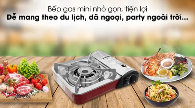 So sánh giá Bếp ga mini Duxton DG-290 rẻ nhất? - Ảnh 7