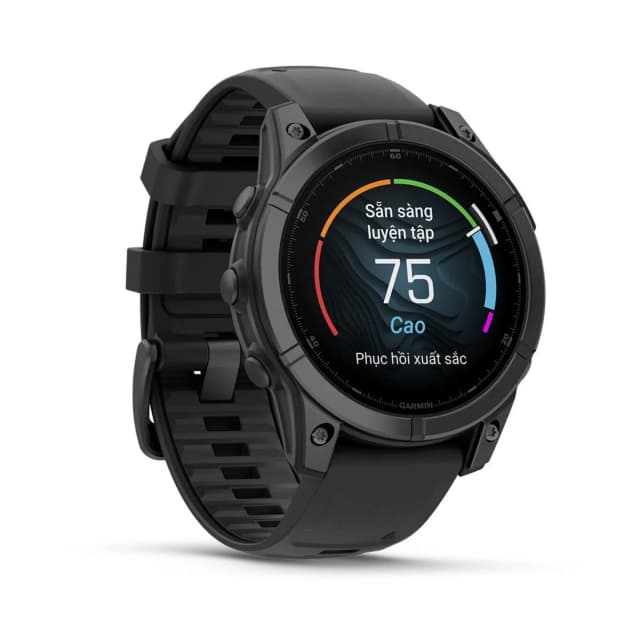 So sánh giá Garmin Fenix E 47mm viền thép dây silicone rẻ nhất? - Ảnh 12