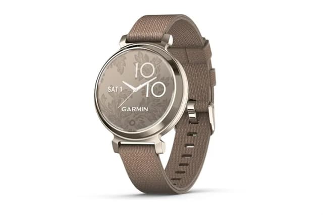 So sánh giá Garmin Lily 2 Classic 34mm dây da rẻ nhất? - Ảnh 2