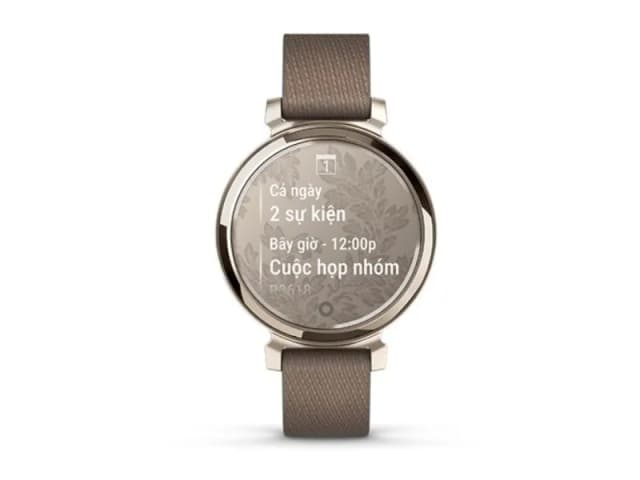 So sánh giá Garmin Lily 2 Classic 34mm dây vải rẻ nhất? - Ảnh 14