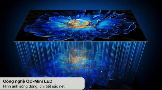 So sánh giá Google Tivi QD-Mini LED TCL AI 4K 55 inch 55C6KS rẻ nhất? - Ảnh 20