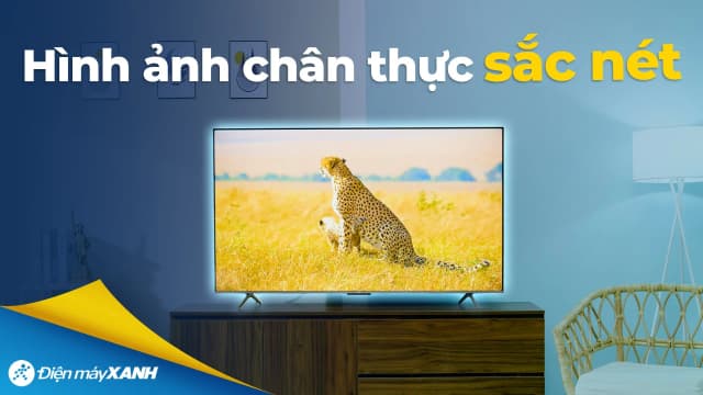 So sánh giá Google Tivi QD-Mini LED TCL AI 4K 65 inch 65C6KS rẻ nhất? - Ảnh 2