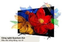 Google Tivi QLED TCL AI 4K 50 inch 50P7K - Giá rẻ nhất hôm nay - Ảnh 6