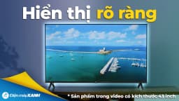 Google Tivi QLED TCL AI FHD 40 inch 40S5K - Giá rẻ nhất hôm nay - Ảnh 11