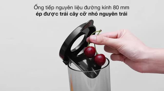 So sánh giá Máy ép chậm Hommy GS-135L rẻ nhất? - Ảnh 18