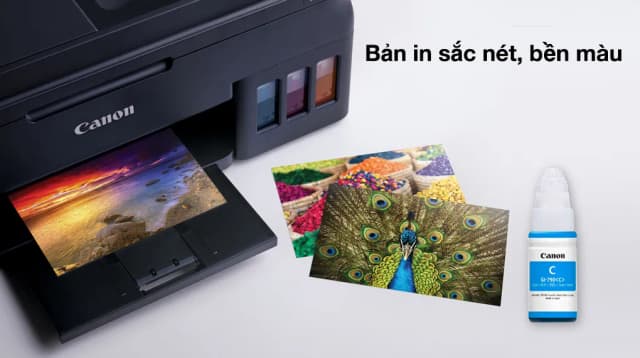 So sánh giá Hộp mực in phun màu Canon GI-790 Xanh dương (dành cho Canon dòng G Series) rẻ nhất? - Ảnh 4