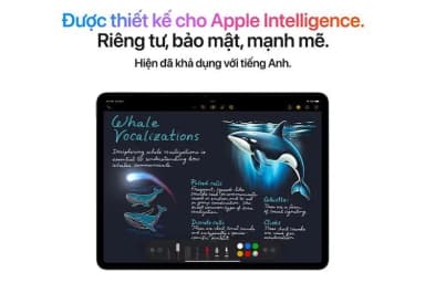 Máy tính bảng iPad Air M3 11 inch WiFi 512GB - 13