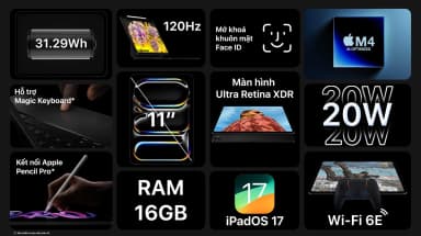 Máy tính bảng iPad Pro M4 11 inch WiFi 1TB - 11
