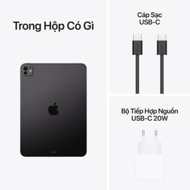 Máy tính bảng iPad Pro M4 11 inch WiFi 1TB - 19