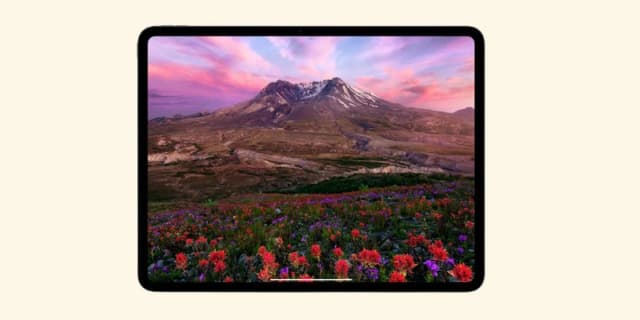 Top 1 so sánh giá Máy tính bảng iPad Pro M4 11 inch WiFi 2TB - Tìm sản phẩm giá rẻ nhất - Ảnh 41