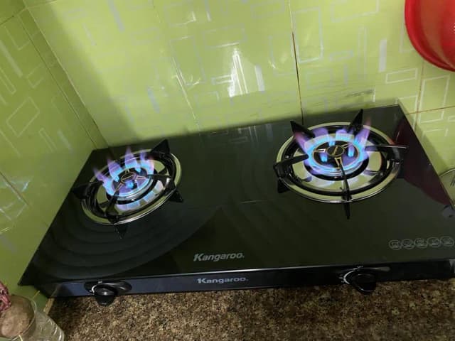 So sánh giá Bếp ga đôi Kangaroo KG519M rẻ nhất? - Ảnh 14