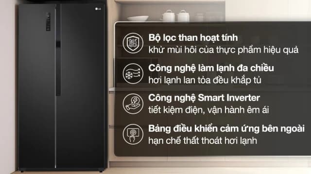 So sánh giá Tủ lạnh LG Inverter 519 lít Side By Side GR-B256BL rẻ nhất? - Ảnh 2