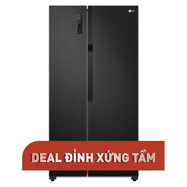So sánh giá Tủ lạnh LG Inverter 519 lít Side By Side GR-B256BL rẻ nhất? - Ảnh 11