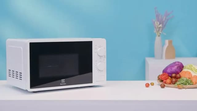 Top 1 so sánh giá Lò vi sóng có nướng Electrolux EMG20K38GWP 20 lít - Tìm sản phẩm giá rẻ nhất - Ảnh 26