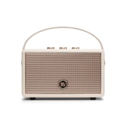 Loa Bluetooth Alpha Works AW-W89