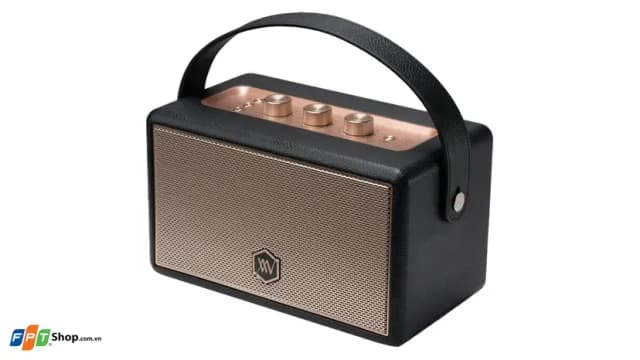 So sánh giá Loa Bluetooth Alpha Works AW-W89 rẻ nhất? - Ảnh 6