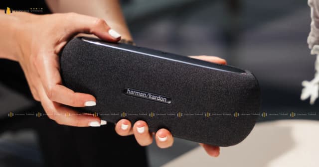 So sánh giá Loa Bluetooth Harman Kardon Luna rẻ nhất? - Ảnh 20