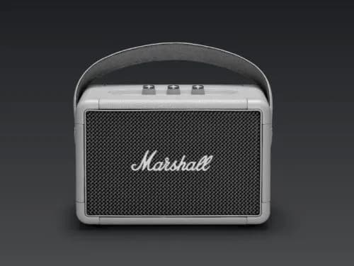 So sánh giá Loa Bluetooth Marshall Kilburn II rẻ nhất? - Ảnh 14