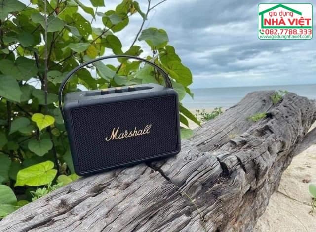 So sánh giá Loa Bluetooth Marshall Kilburn II rẻ nhất? - Ảnh 10