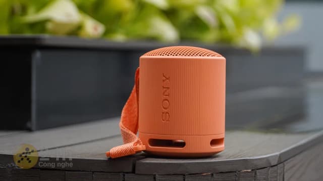 So sánh giá Loa Bluetooth Sony SRS-XB100 rẻ nhất? - Ảnh 2