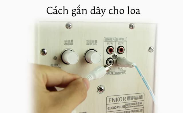 So sánh giá Loa vi tính Enkor E300 Plus rẻ nhất? - Ảnh 11