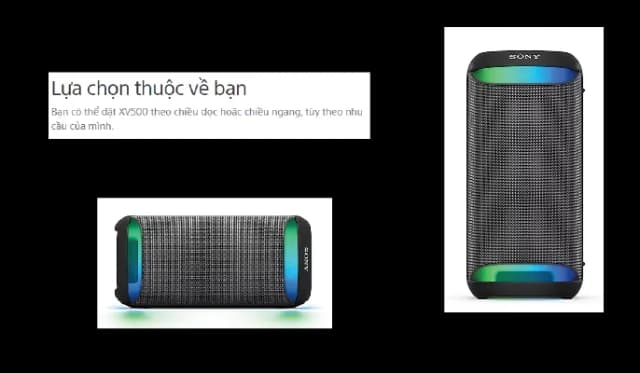 So sánh giá Loa Karaoke Sony SRS-XV500 rẻ nhất? - Ảnh 18