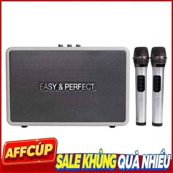 Loa karaoke xách tay Easy & Perfect EP-4205 Pro 60W - Ảnh 17