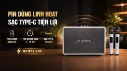 So sánh giá Loa karaoke xách tay Easy & Perfect EP-4205 Pro 60W - Tìm sản phẩm giá rẻ nhất - Ảnh 5