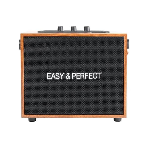 Loa karaoke xách tay Easy & Perfect Zypher 5W Nâu - Giá rẻ nhất hôm nay - Ảnh 1