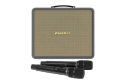 Loa karaoke xách tay PARAMAX Karat 200W - Giá rẻ nhất hôm nay - Ảnh 2