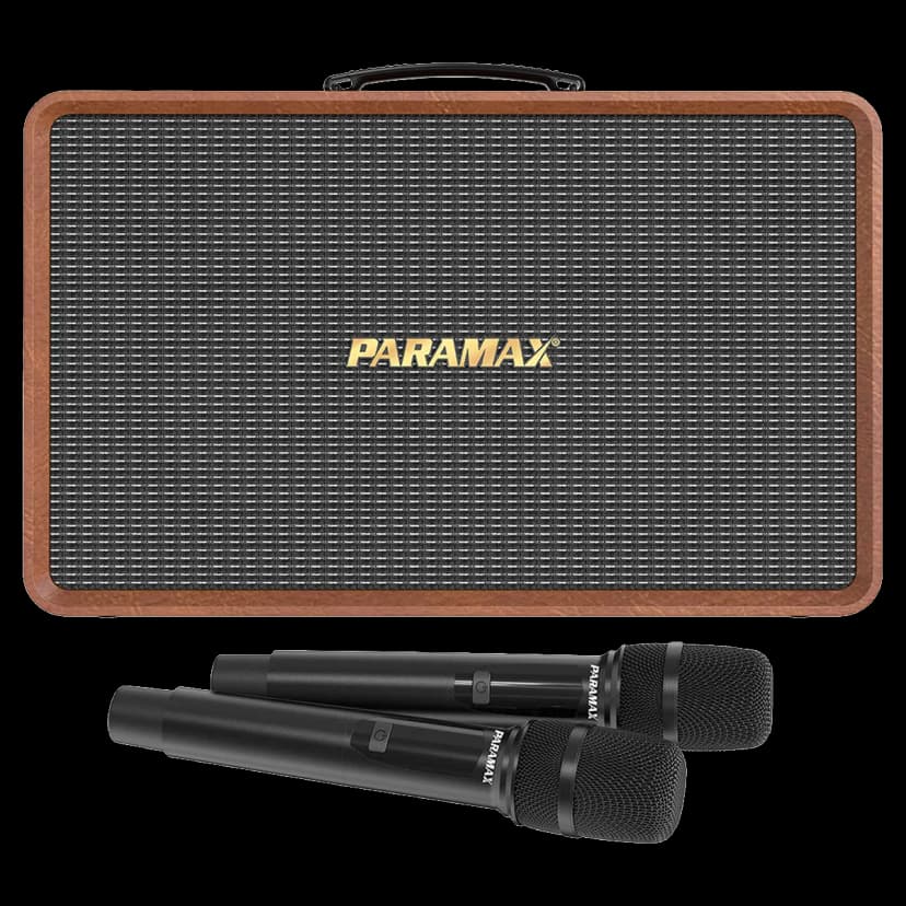 Loa karaoke xách tay PARAMAX Karat 200W - Giá rẻ nhất hôm nay - Ảnh 11